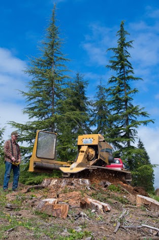 Stump Grinder