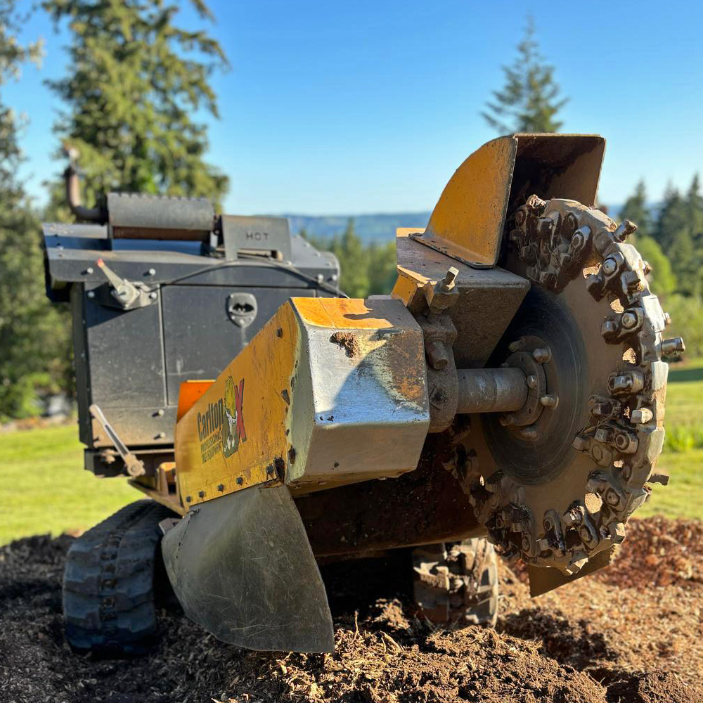 Stump Grinding Services