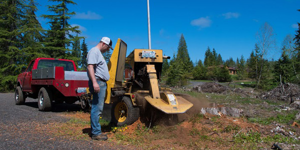 Stump-Removal